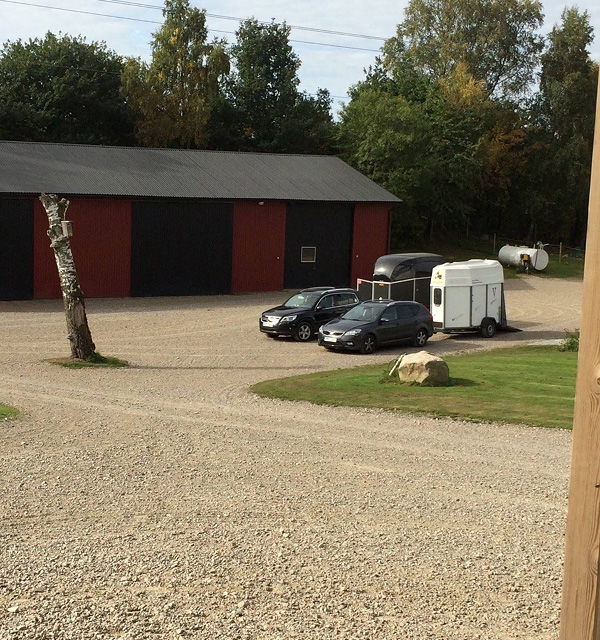 Lundens Djurhälsa - en Veterinär för Hästar i Falkenberg
