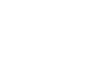 Lundens konturer vit transparent