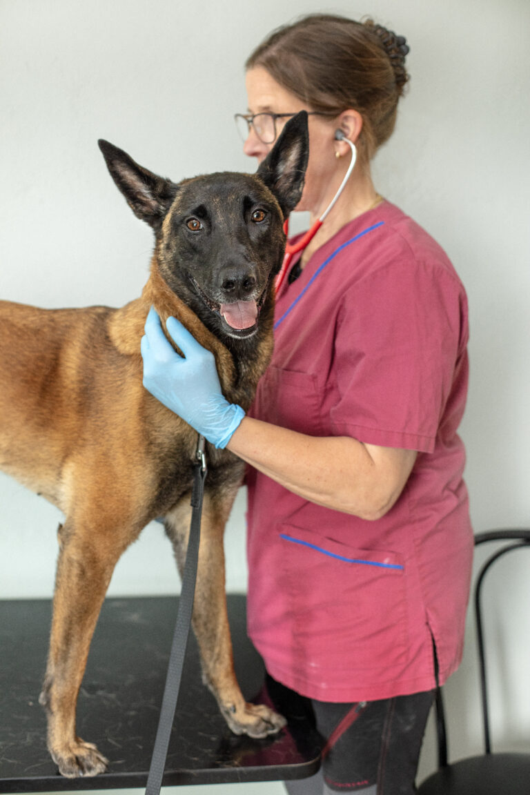 Lundens Vet Dog L1A8631